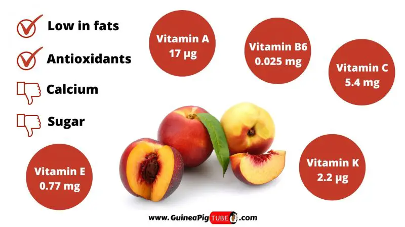 Nutrition Facts of Nectarines for Guinea Pigs