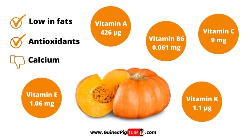 Nutrition Facts of Pumpkin for Guinea Pigs
