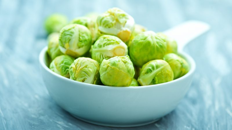 Serving Size and Frequency of Brussels Sprouts for Guinea Pigs