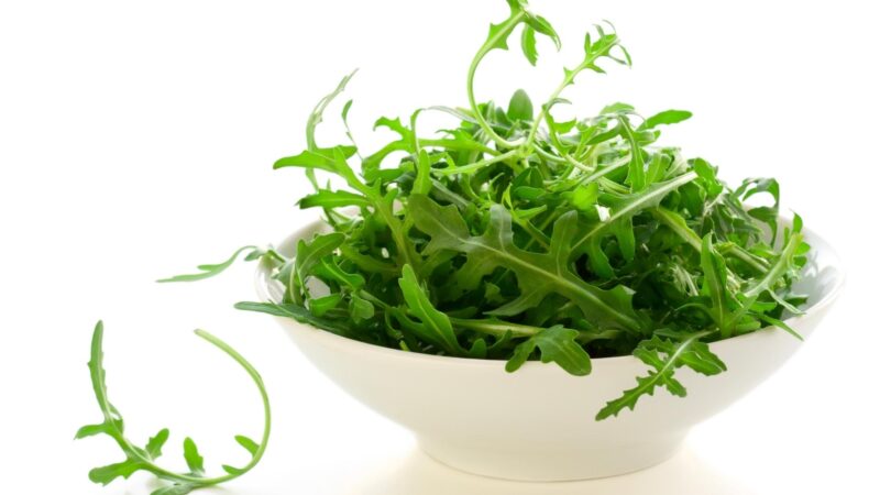 Is Arugula Bad for Guinea Pigs