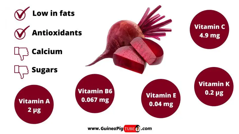 Nutrition Facts of Beetroot for Guinea Pigs