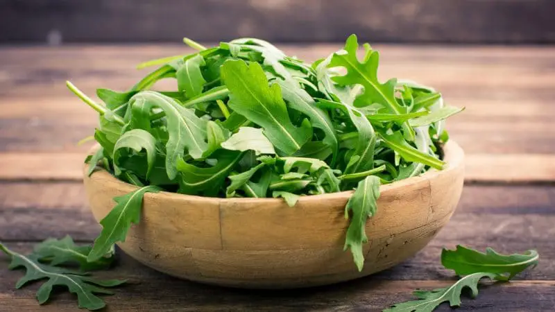 Serving Size and Frequency of Arugula for Guinea Pigs