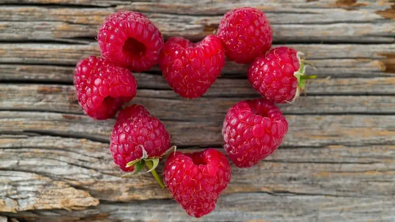 Are Raspberries Good for Guinea Pigs