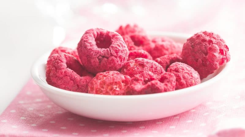 Can Guinea Pigs Eat Dried Raspberries