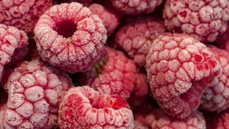 Can Guinea Pigs Eat Frozen Raspberries