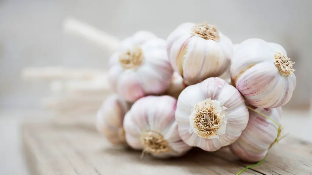 Nutrition Facts of Garlic
