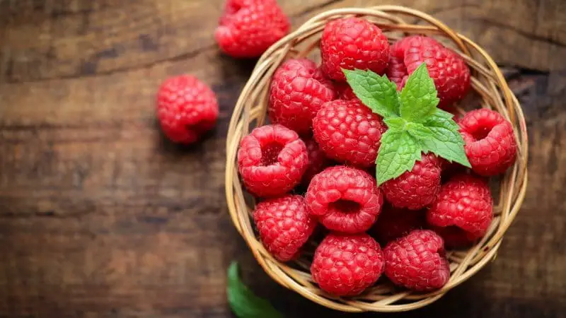 Serving Size and Frequency of Raspberries for Guinea Pigs