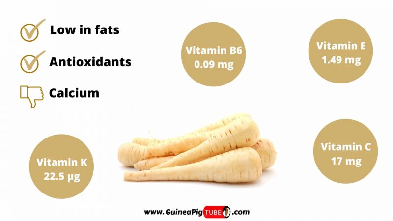 Nutrition Facts of Parsnip for Guinea Pigs