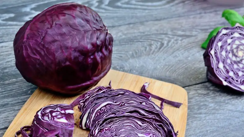 Is Red Cabbage Bad for Guinea Pigs Risks to Consider