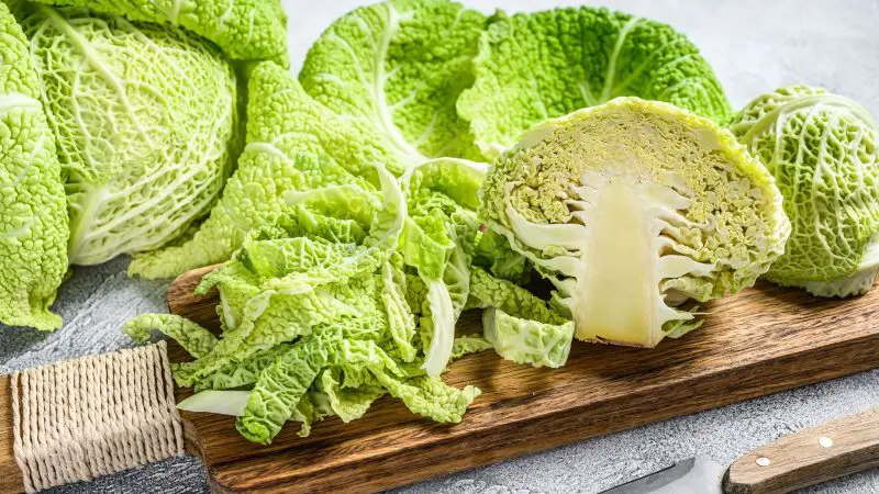 Nutrition Facts of Savoy Cabbage