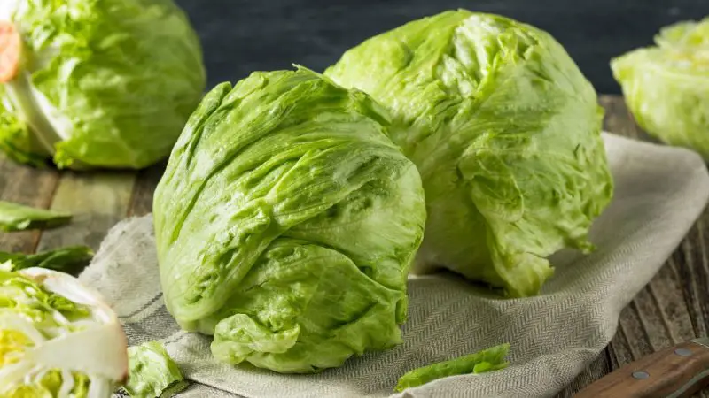 11. Iceberg and Lighter Lettuce