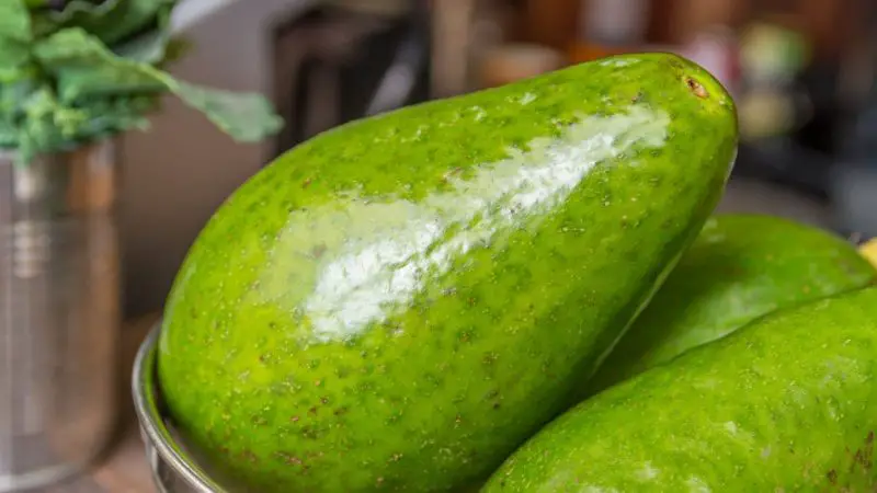 3. Avocados