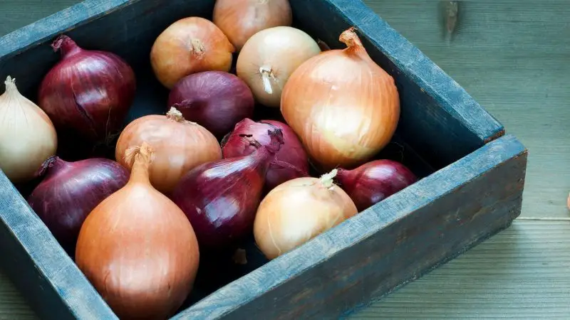 4. Onions