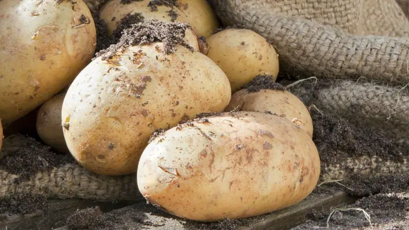 5. Potatoes