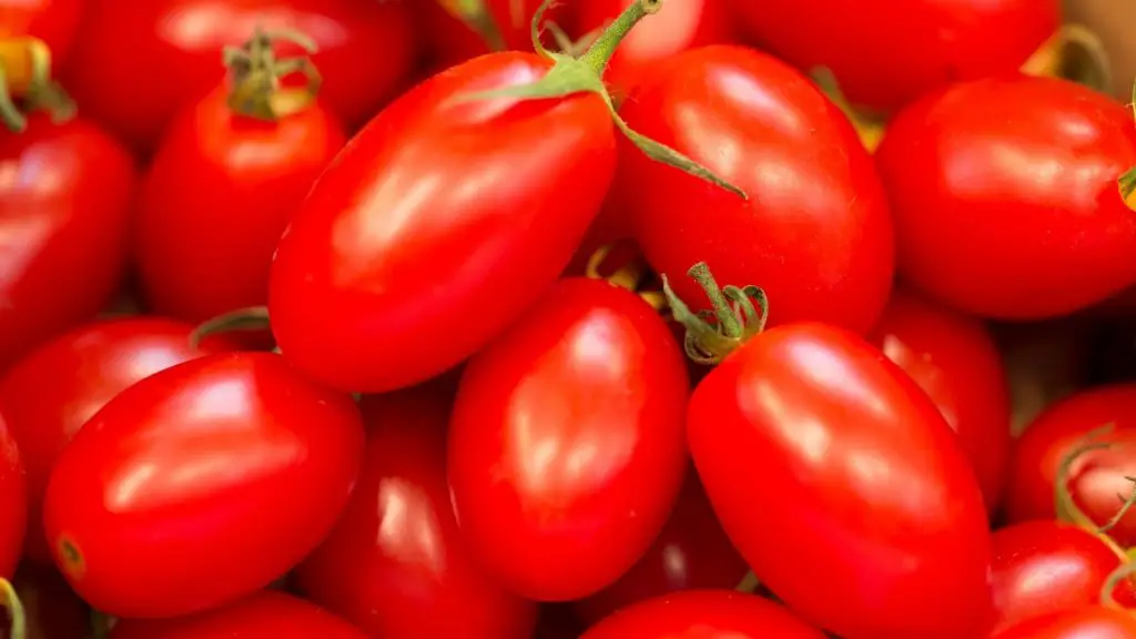 Are Grape Tomatoes Good for Guinea Pigs Health Benefits