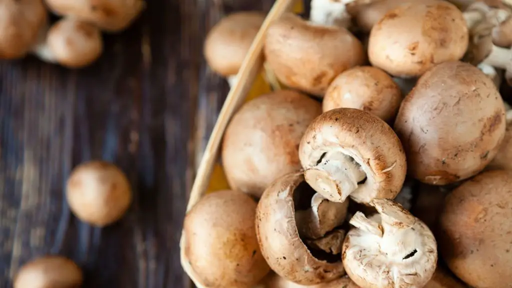 Nutrition Facts of Mushrooms