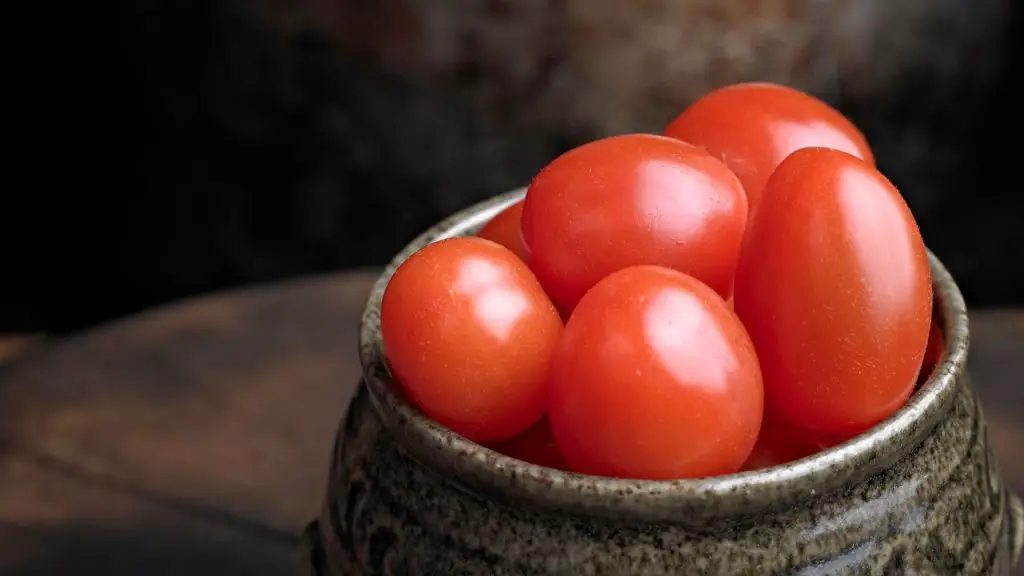 Serving Size and Frequency of Grape Tomatoes for Guinea Pigs