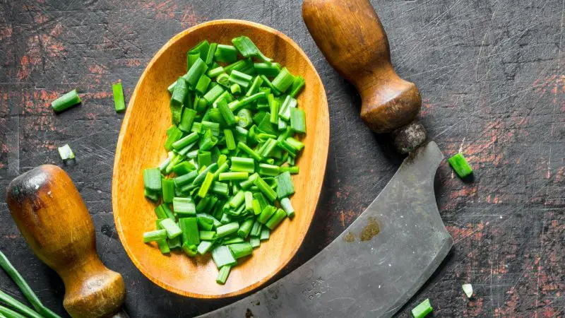 Serving Size and Frequency of Green Onions for Guinea Pigs