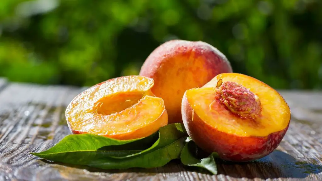 Serving Size and Frequency of Peaches for Guinea Pigs