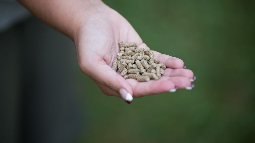 What Are the Types of Pellets